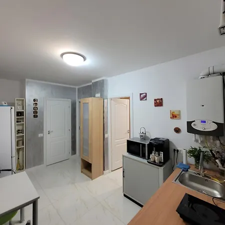Apartment Apartamentul Cora 2