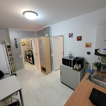 Apartamentul Cora 2 * Timisoara